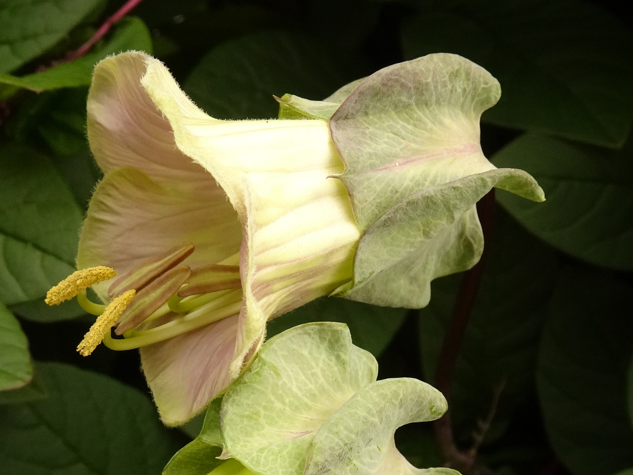 DSC05595