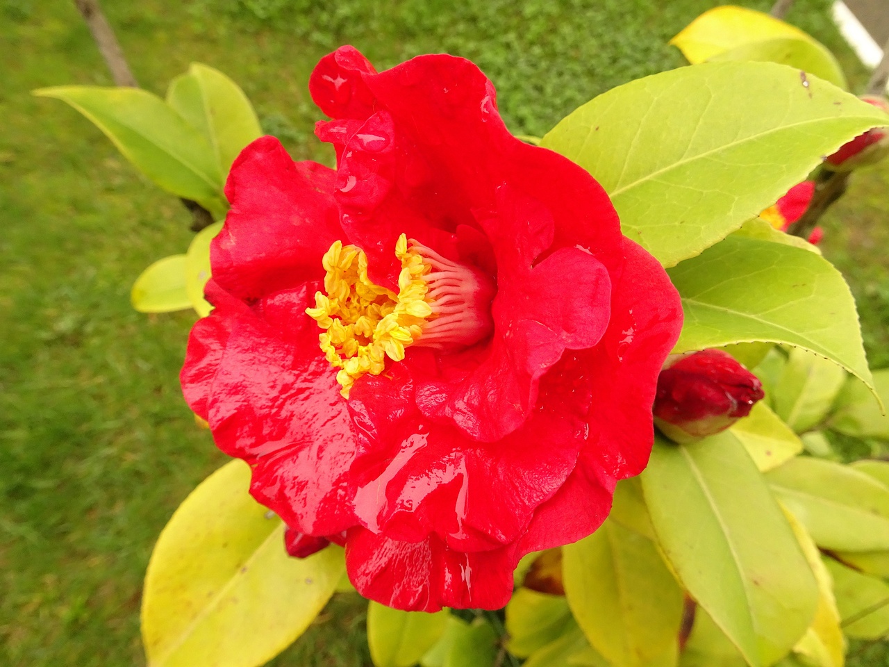 00DSC02070