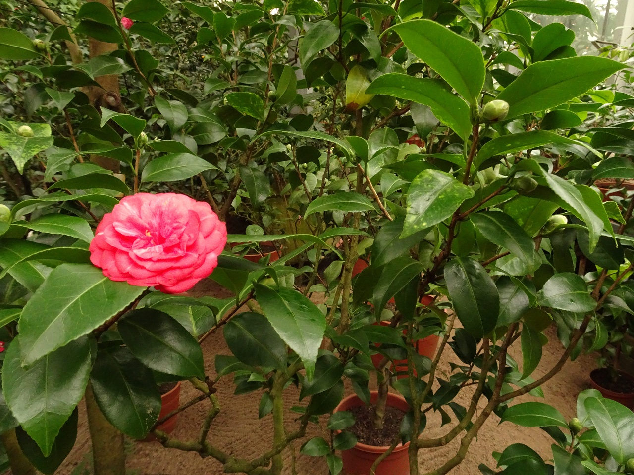 DSC01563