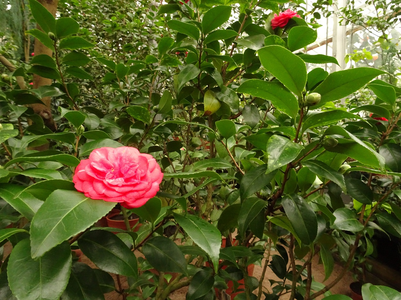DSC01564