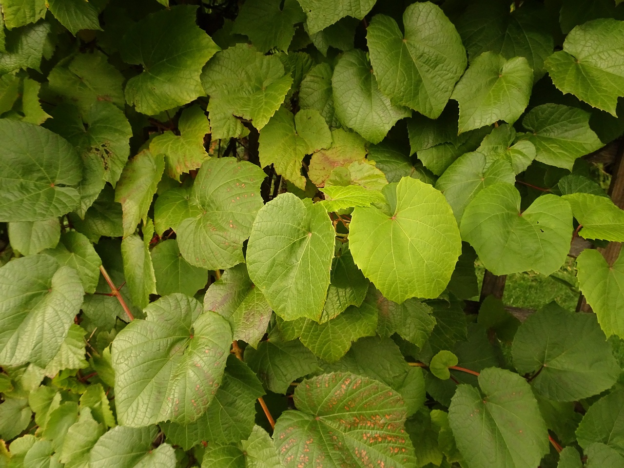 DSC05281