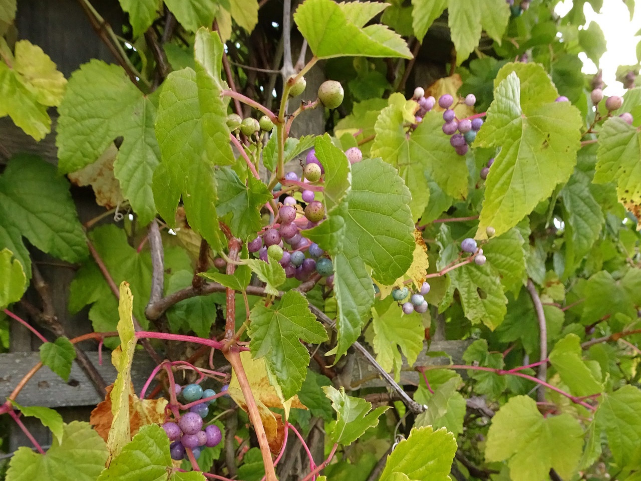 DSC05159