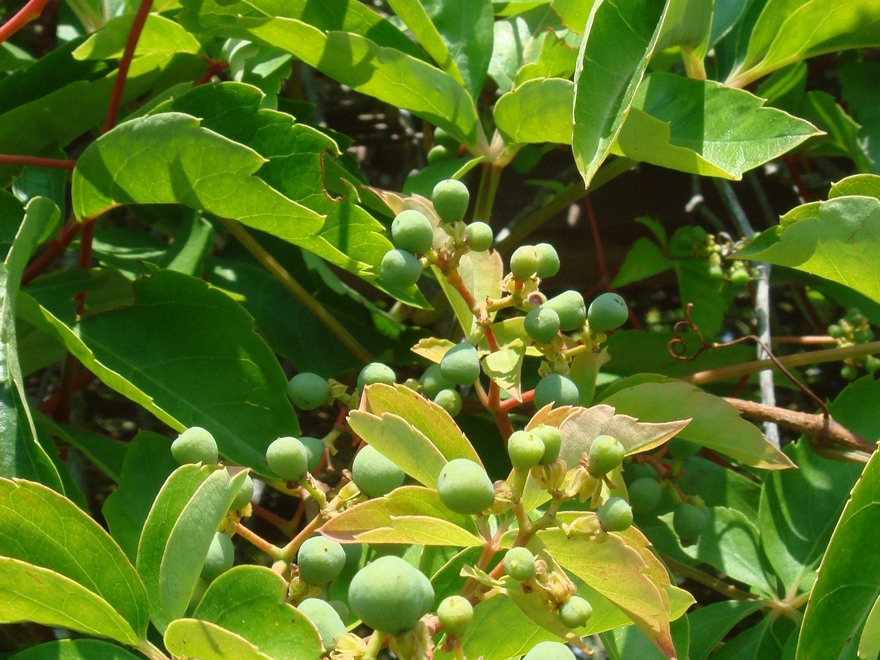 DSC02308