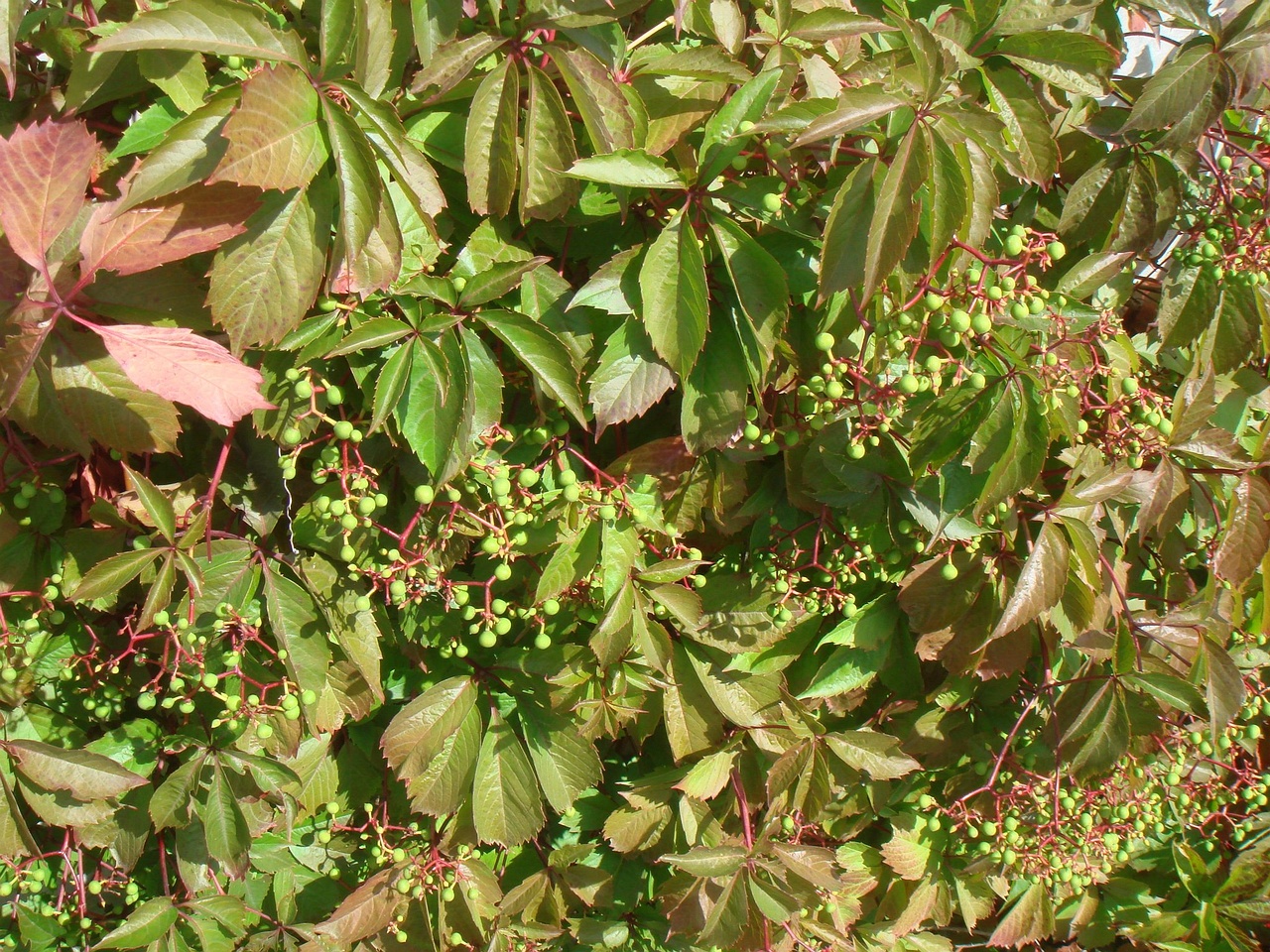 DSC03508