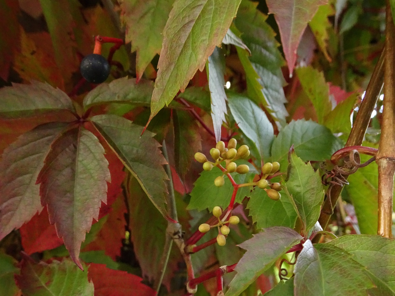 DSC05180