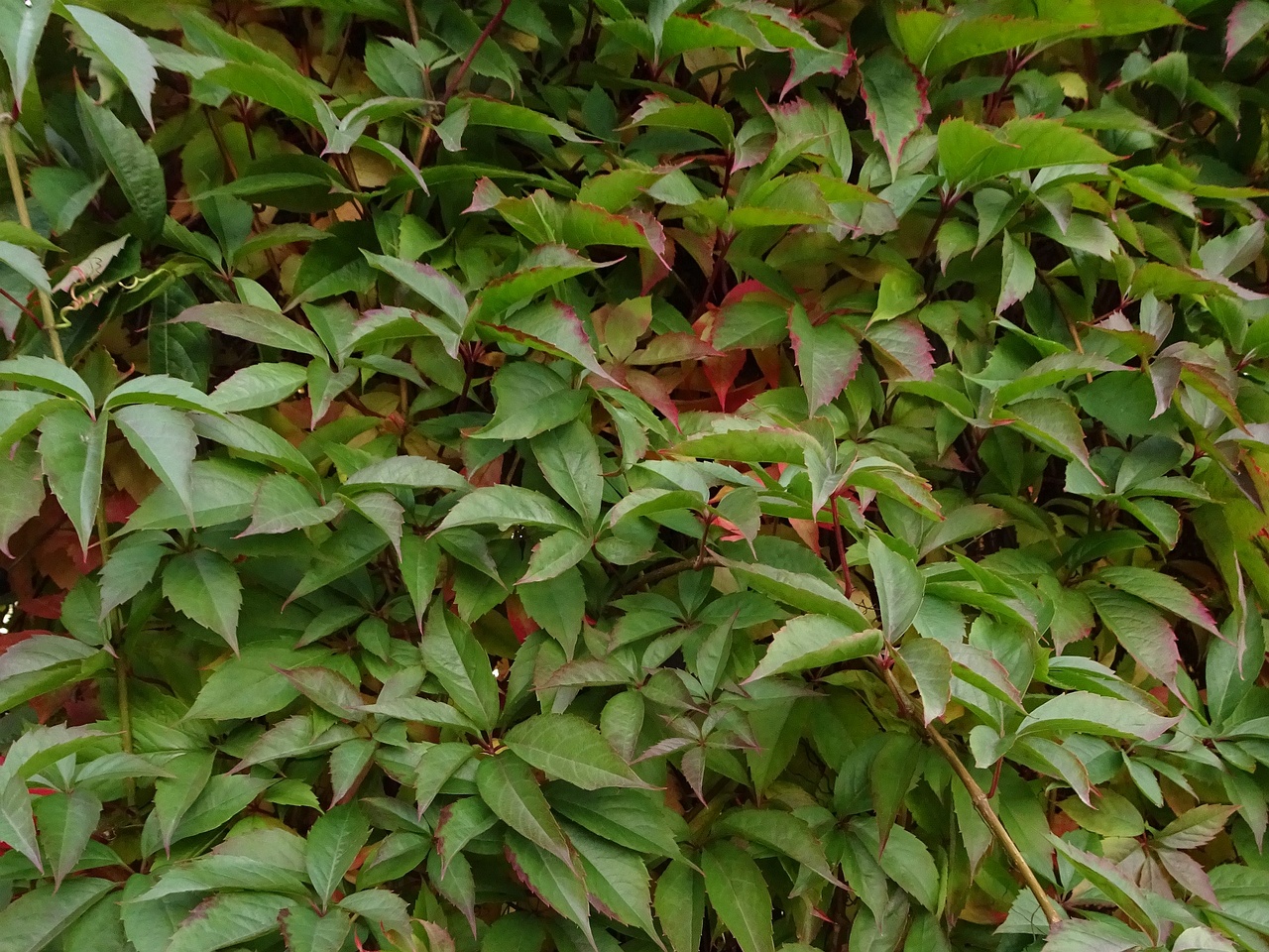 DSC05183