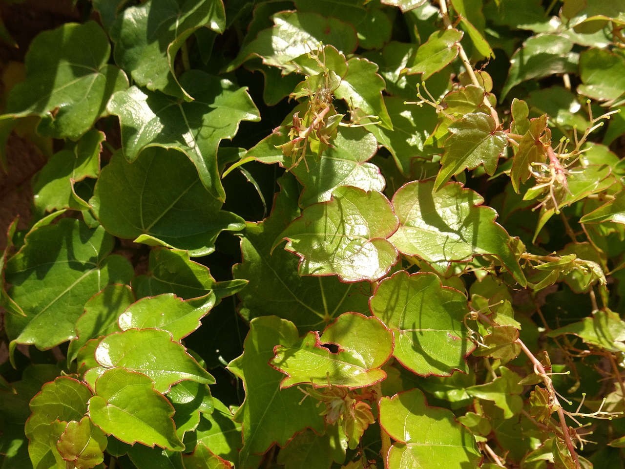 DSC03491