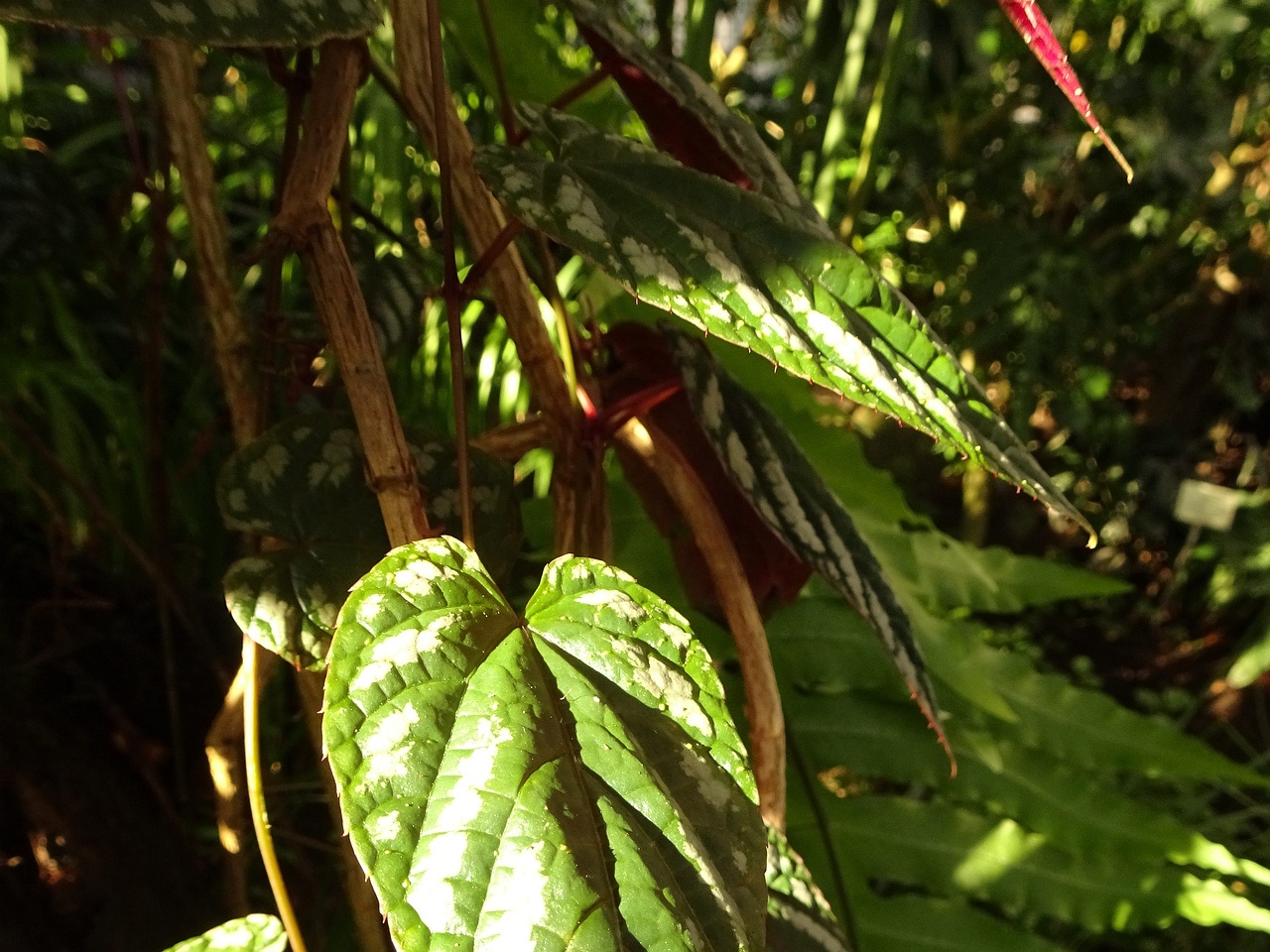 DSC01280