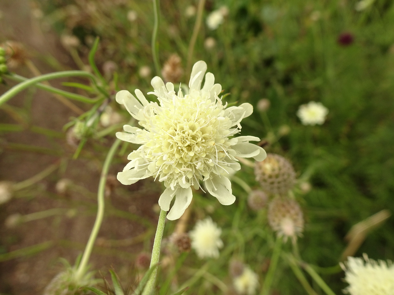 0DSC00959