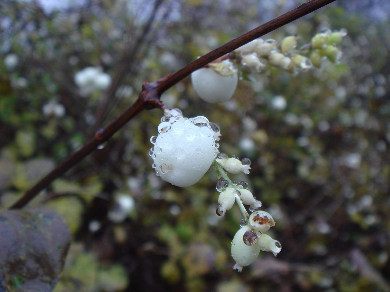 watercrystal_0014