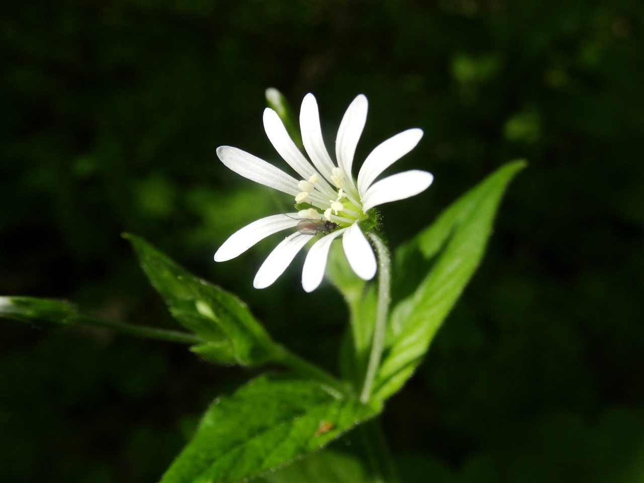 DSC00088