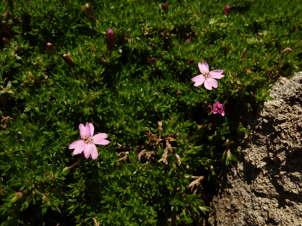 DSC02369