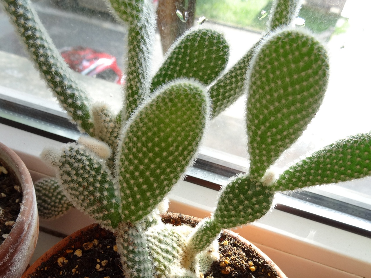 DSC00010