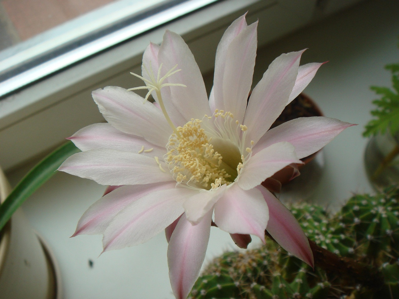0DSC09059