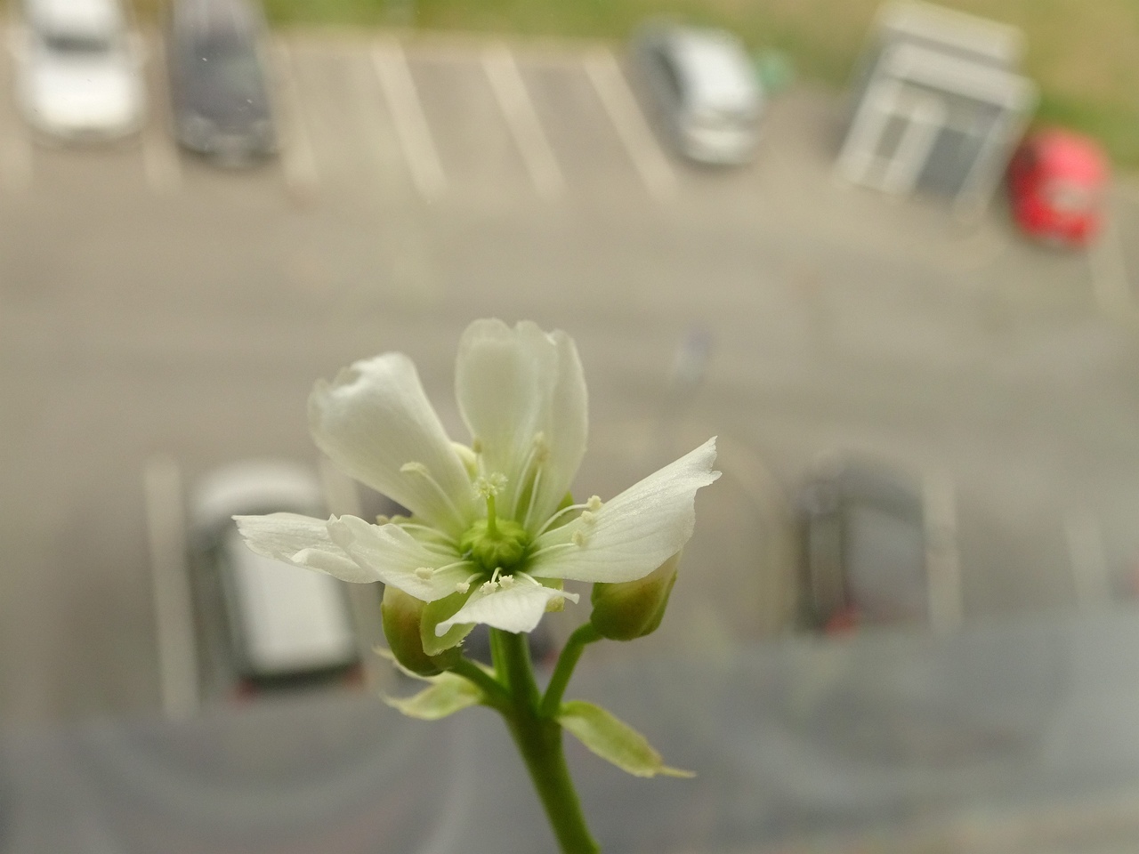 DSC07355
