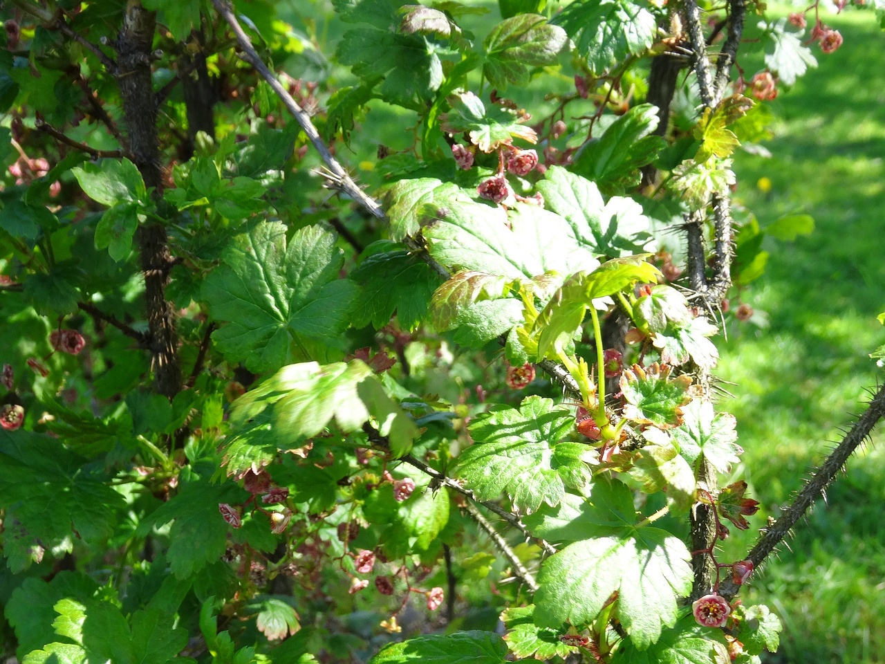 DSC02936