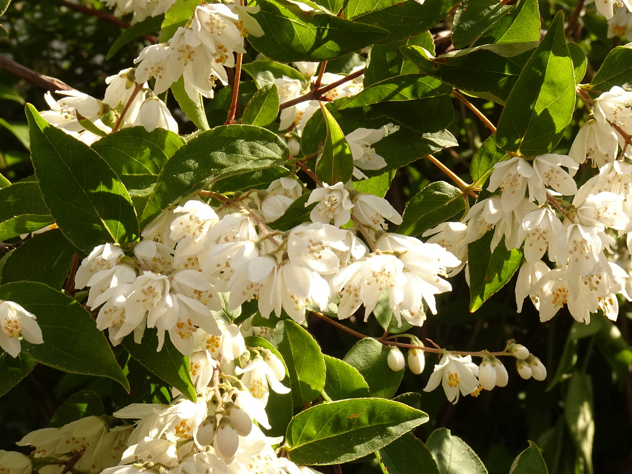 DSC02083