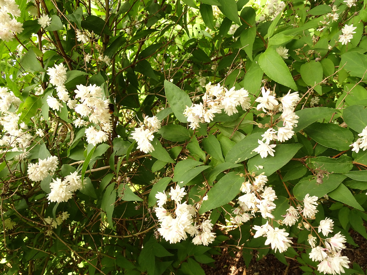 DSC05071