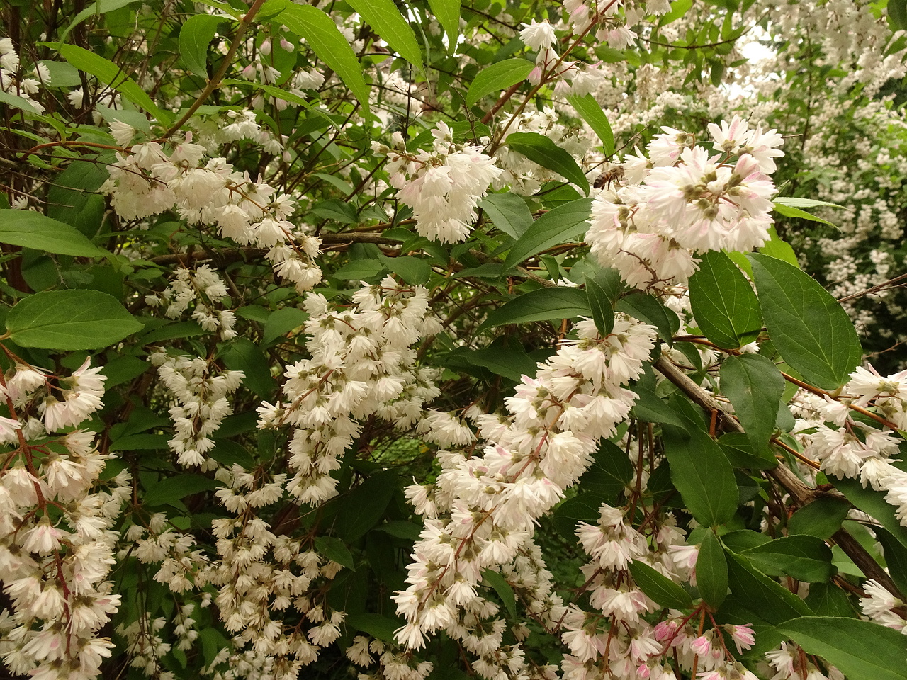 DSC09057