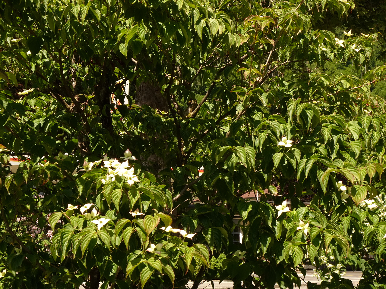 DSC01880