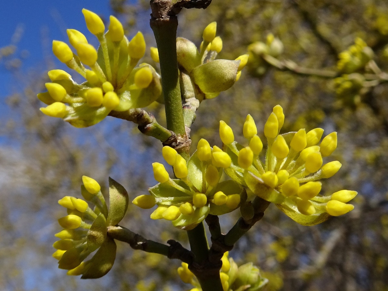 0DSC05839_
