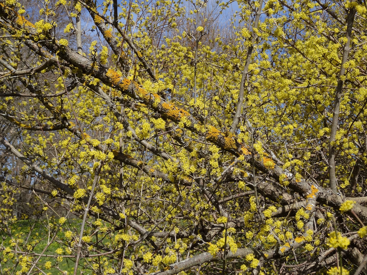 DSC02092