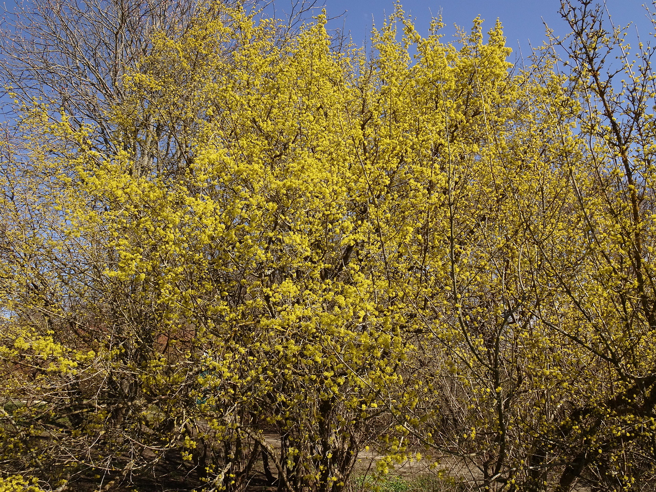 DSC02104