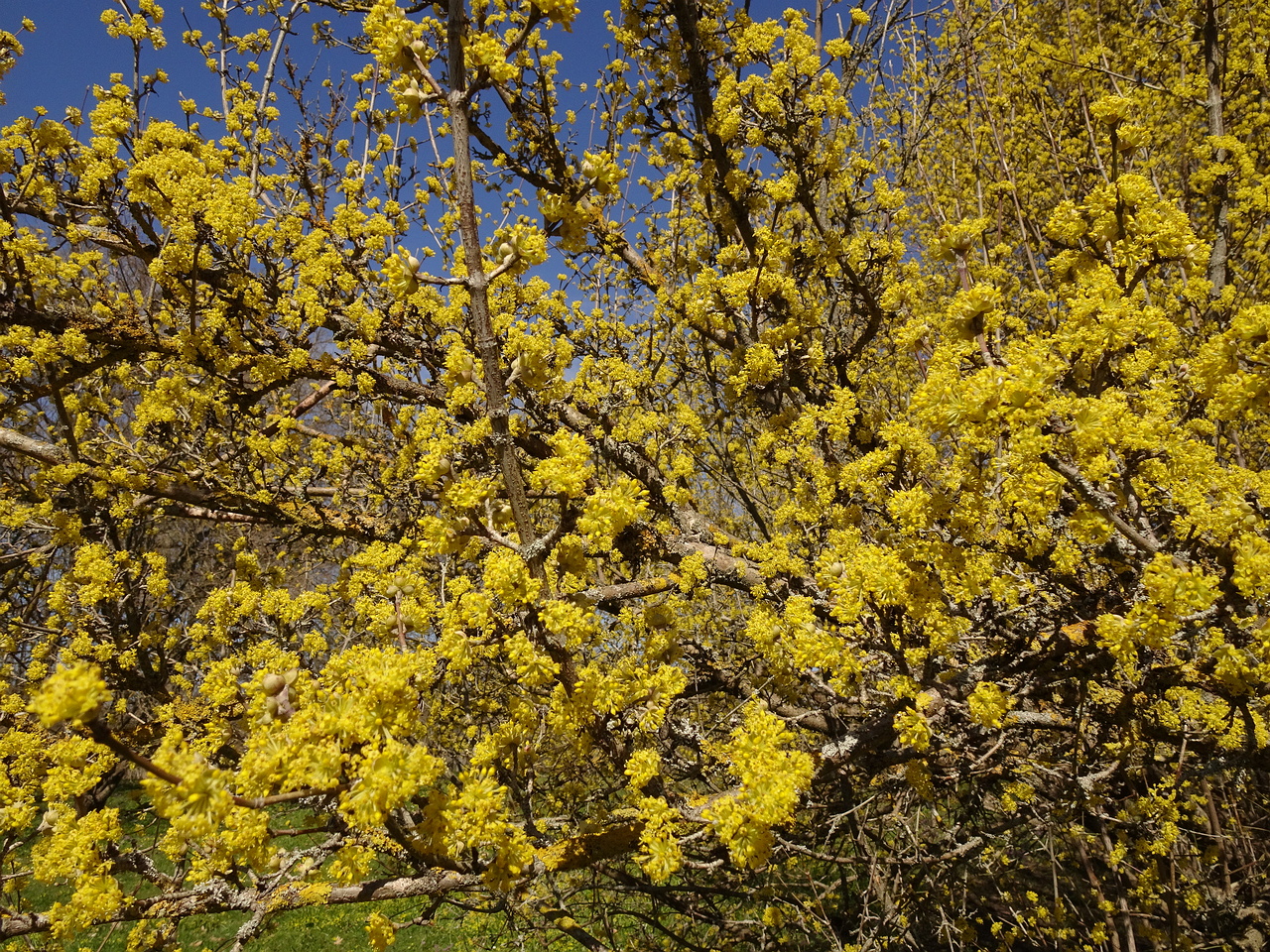 DSC02112