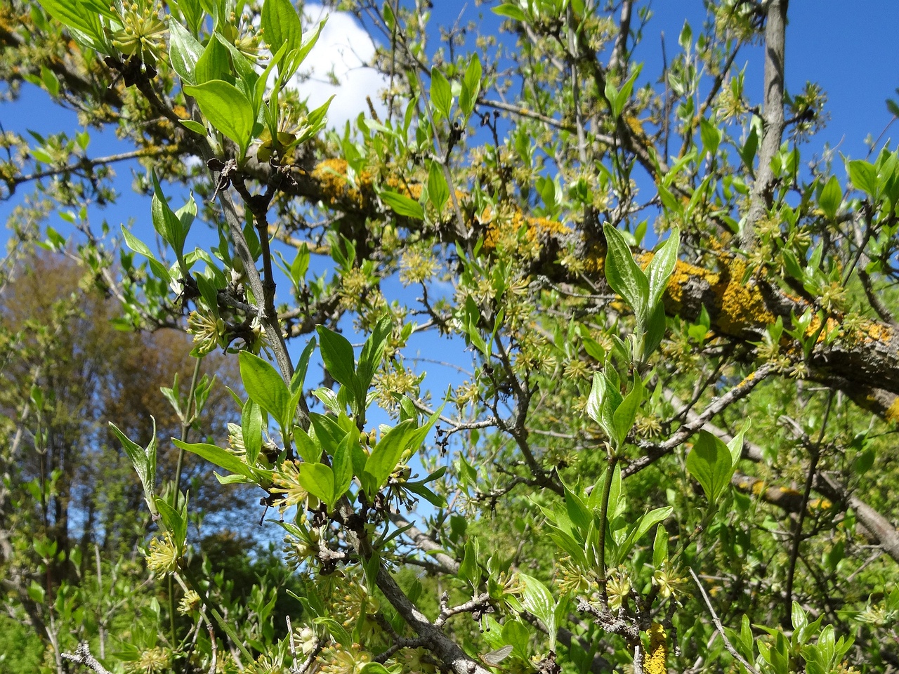DSC03005
