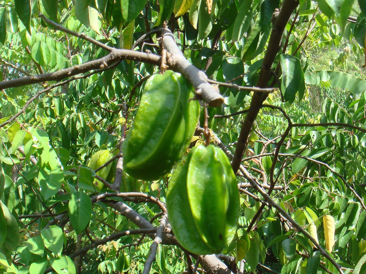 DSC05267