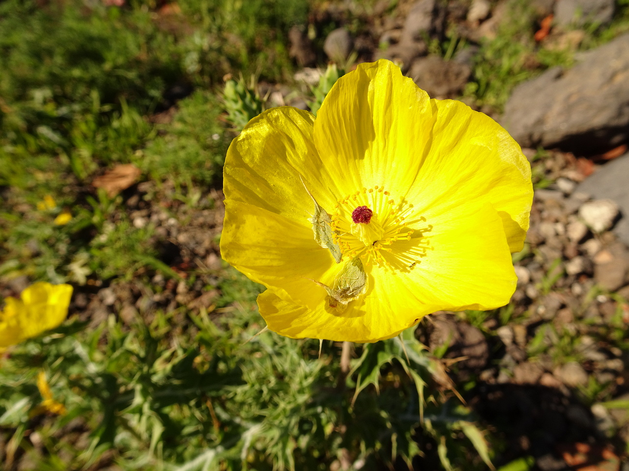 DSC06582