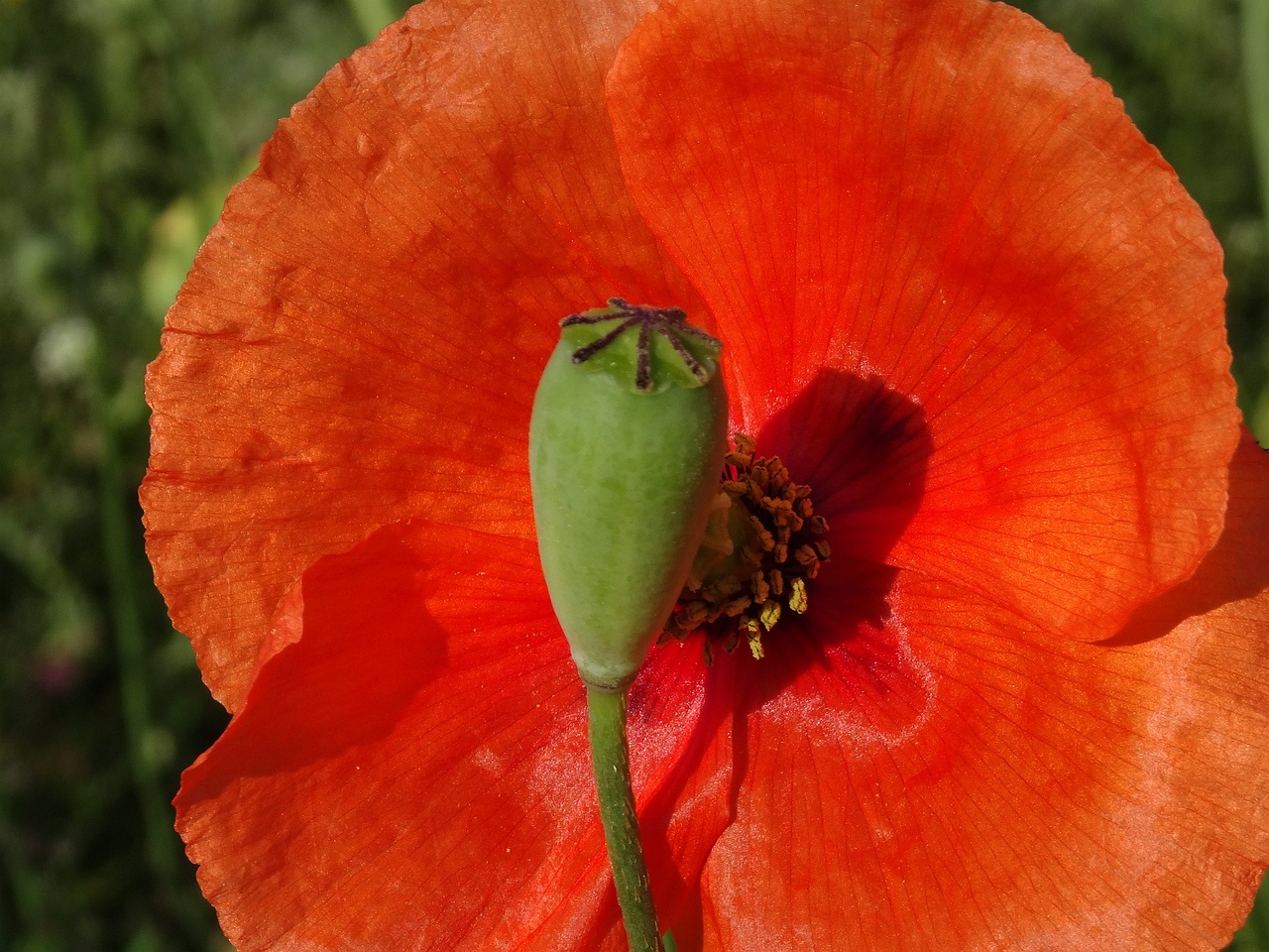 DSC03404