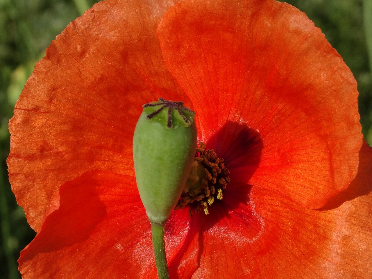 DSC03404_