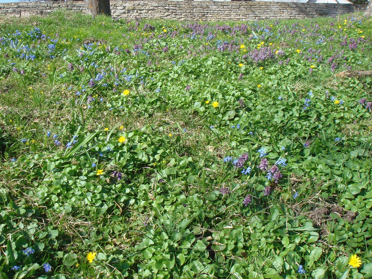 DSC00022