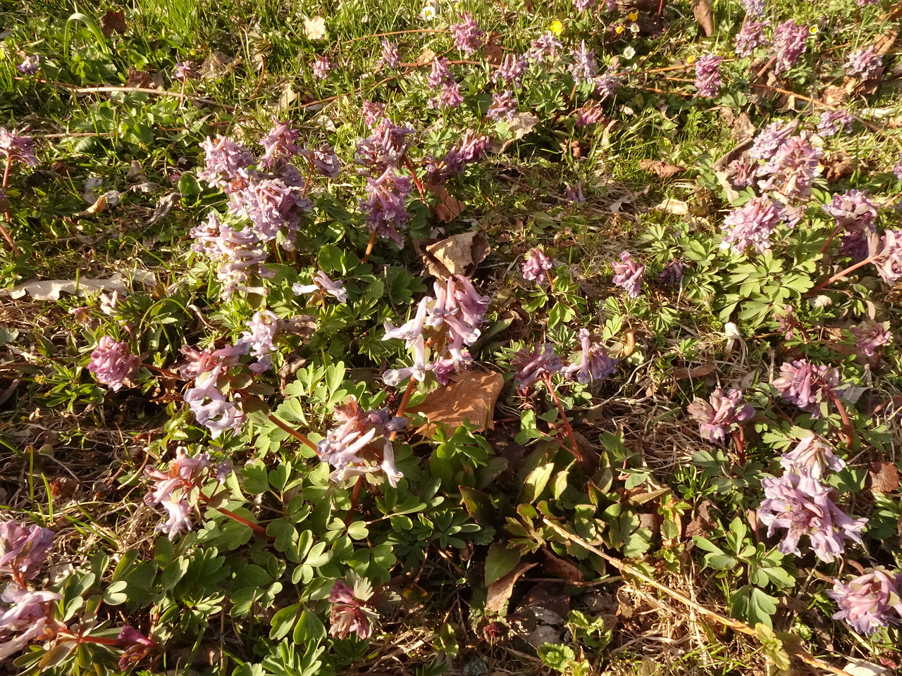DSC00398