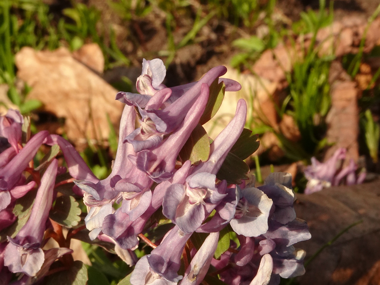 DSC00405