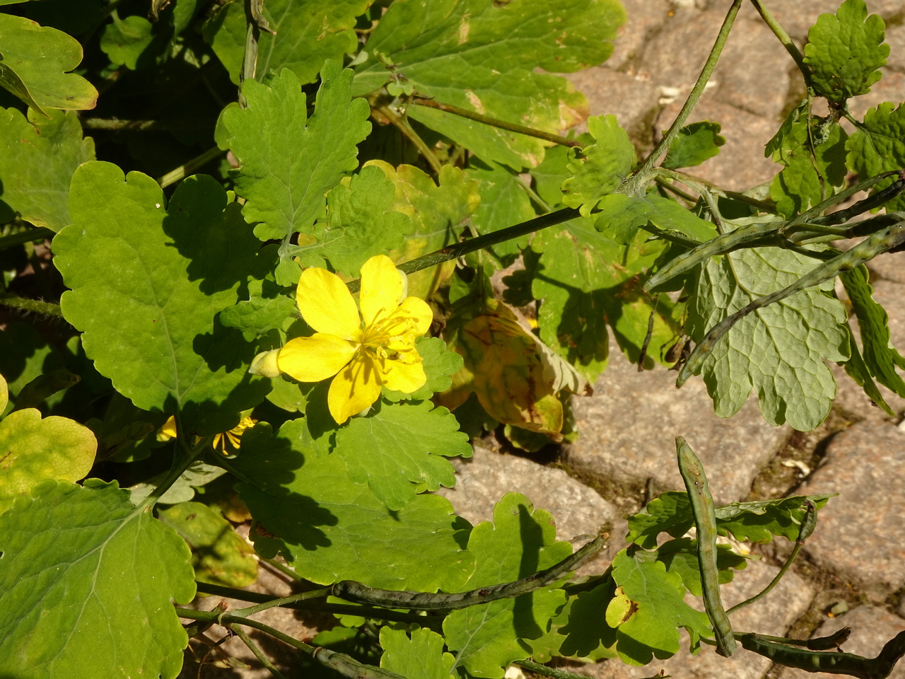DSC02069