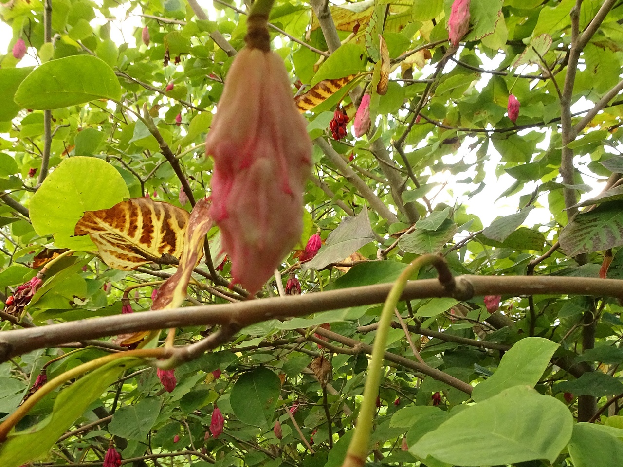 DSC05320