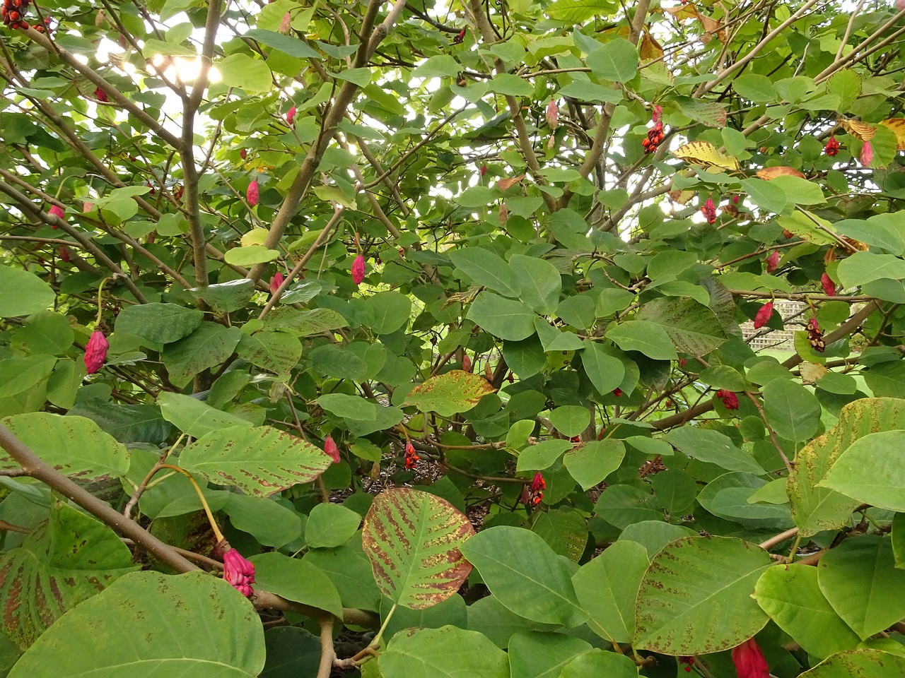 DSC05322