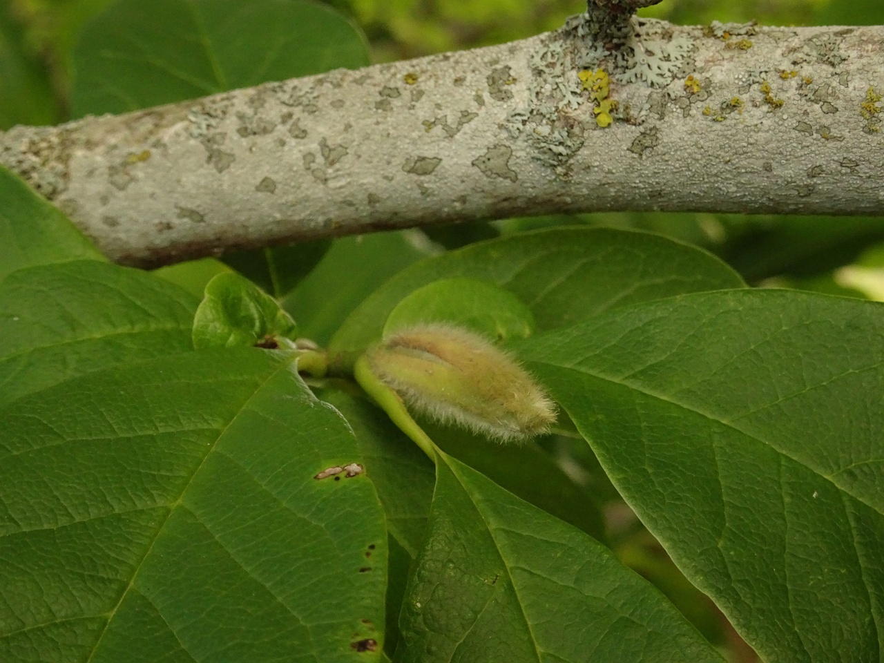 DSC05302