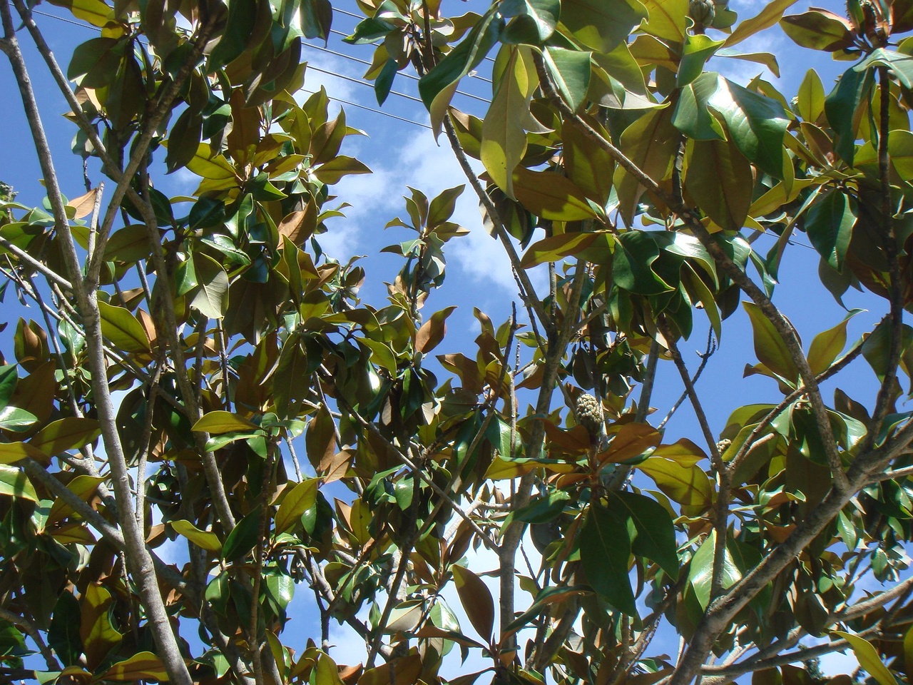 DSC03155