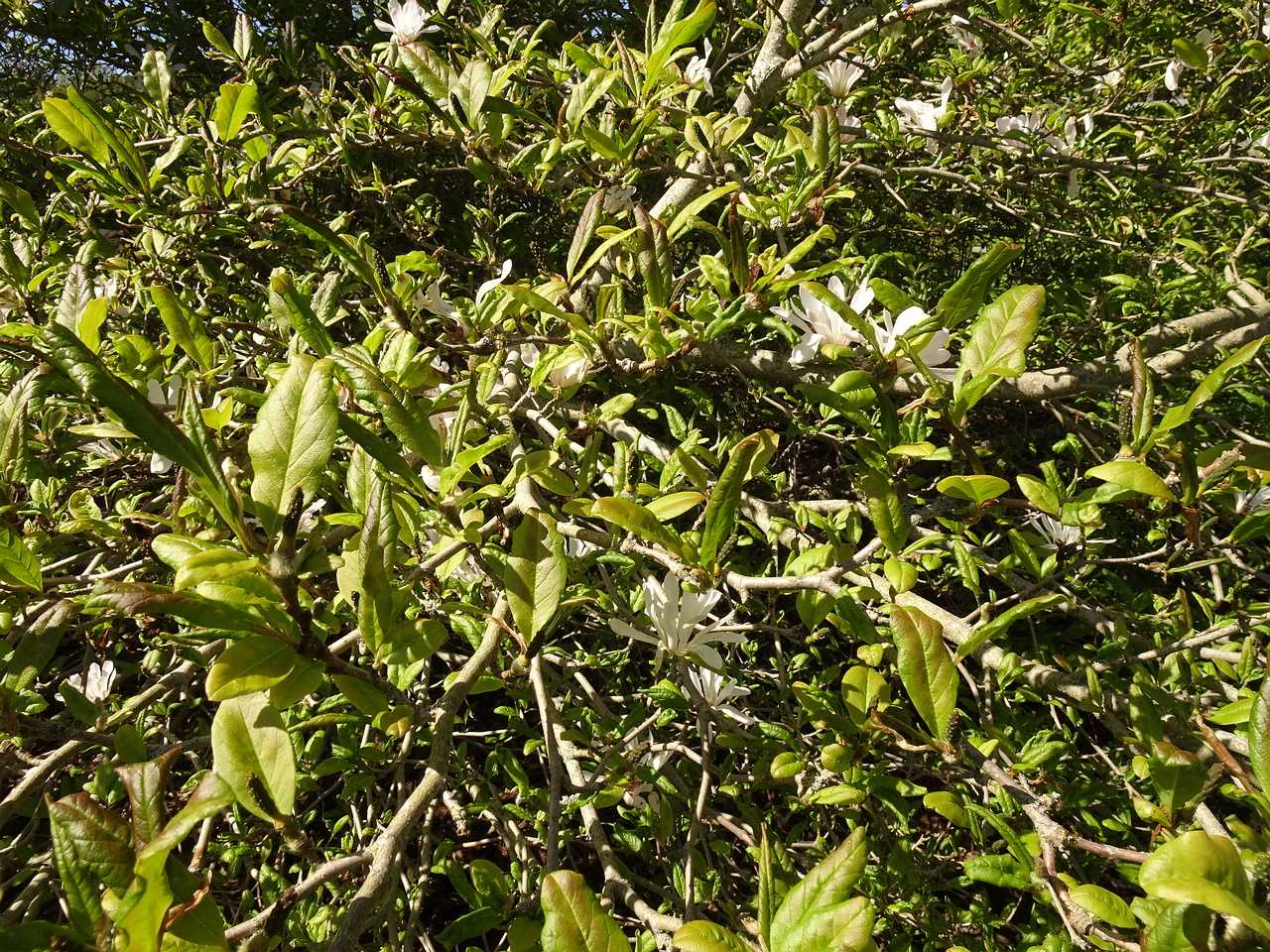 DSC02481