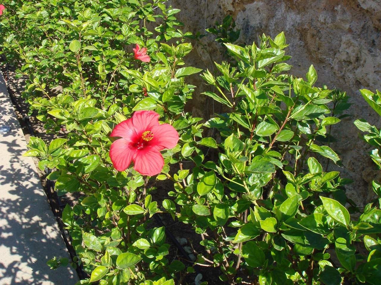 DSC00075
