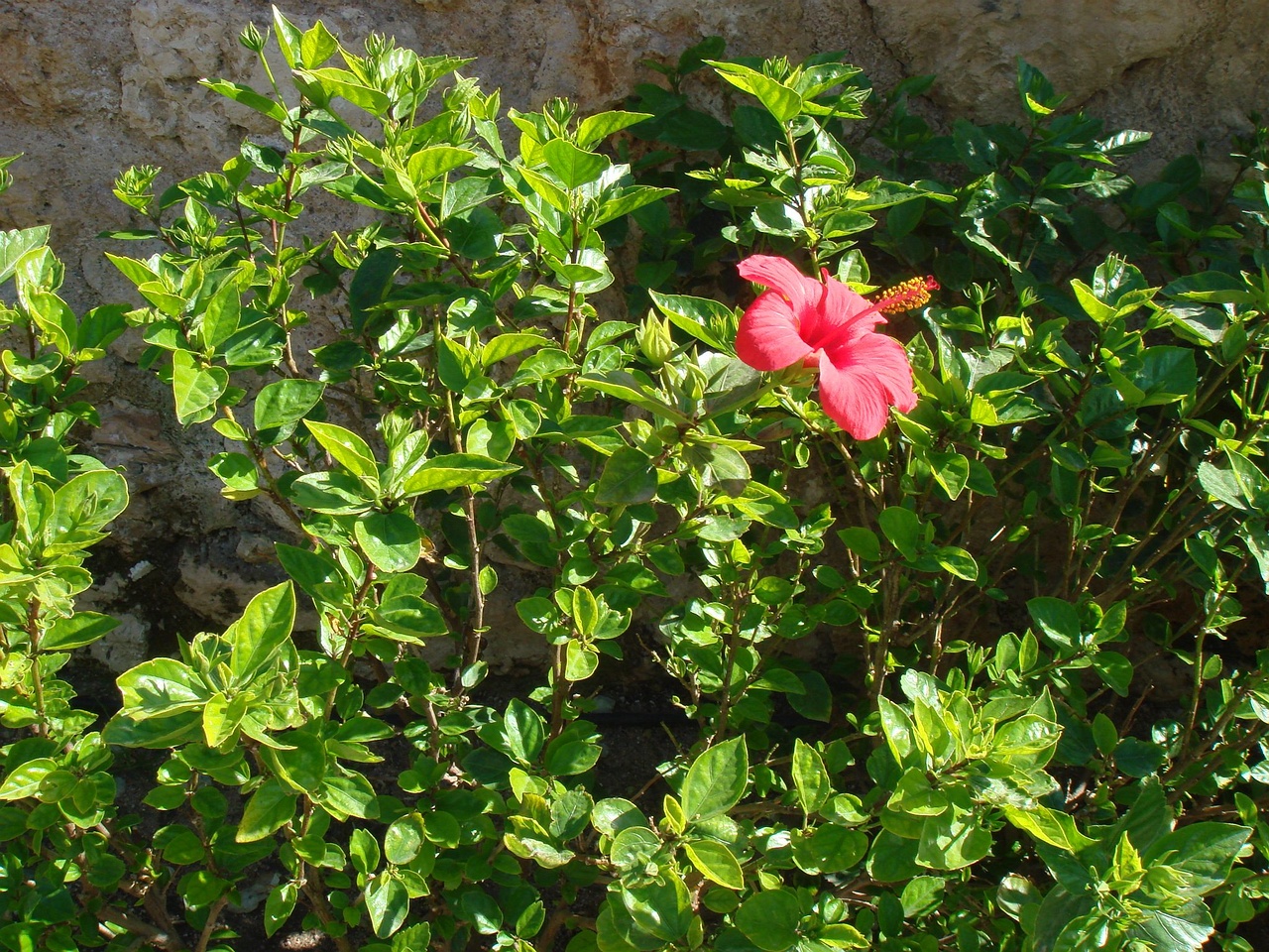 DSC00076