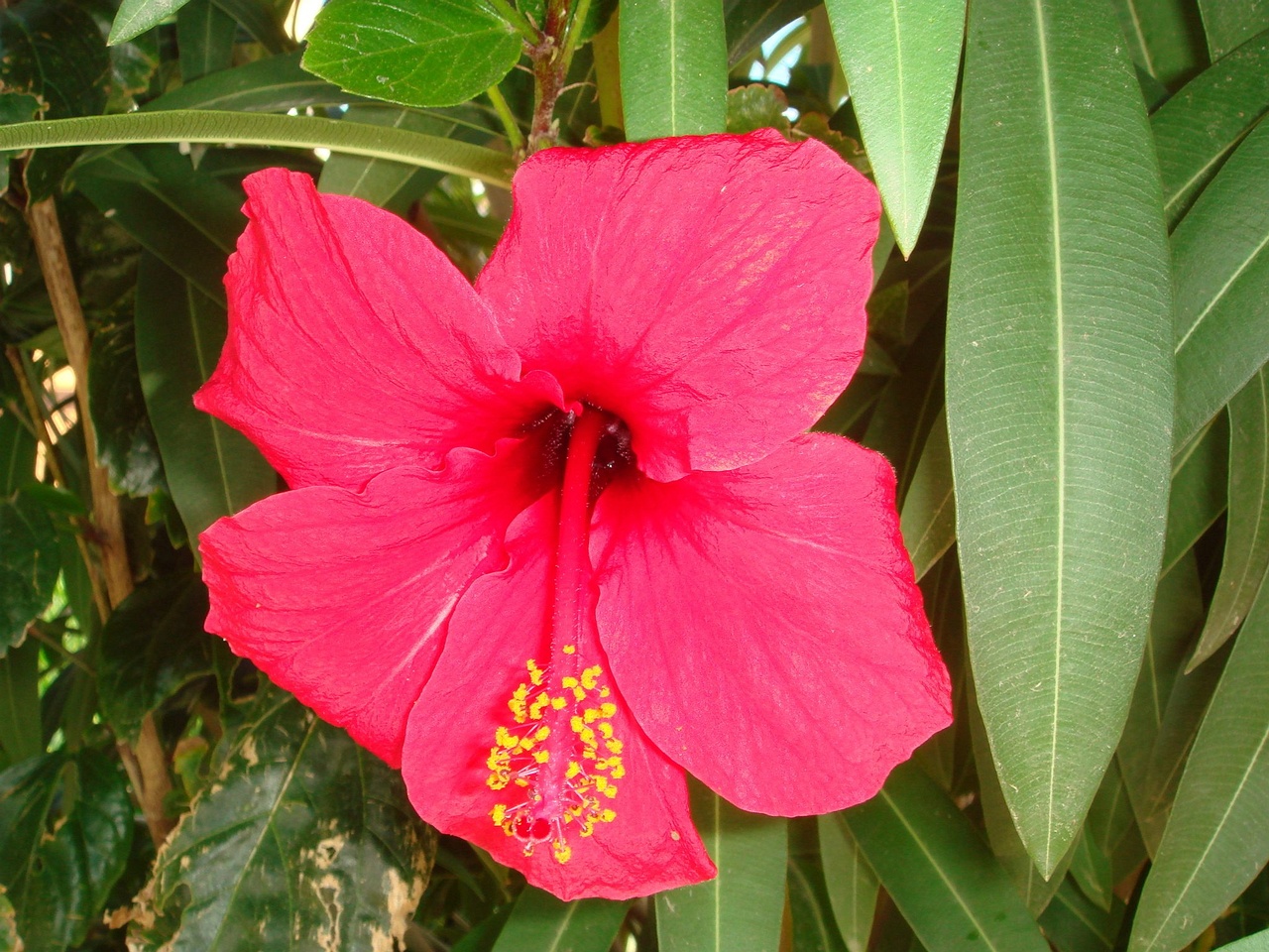DSC01963