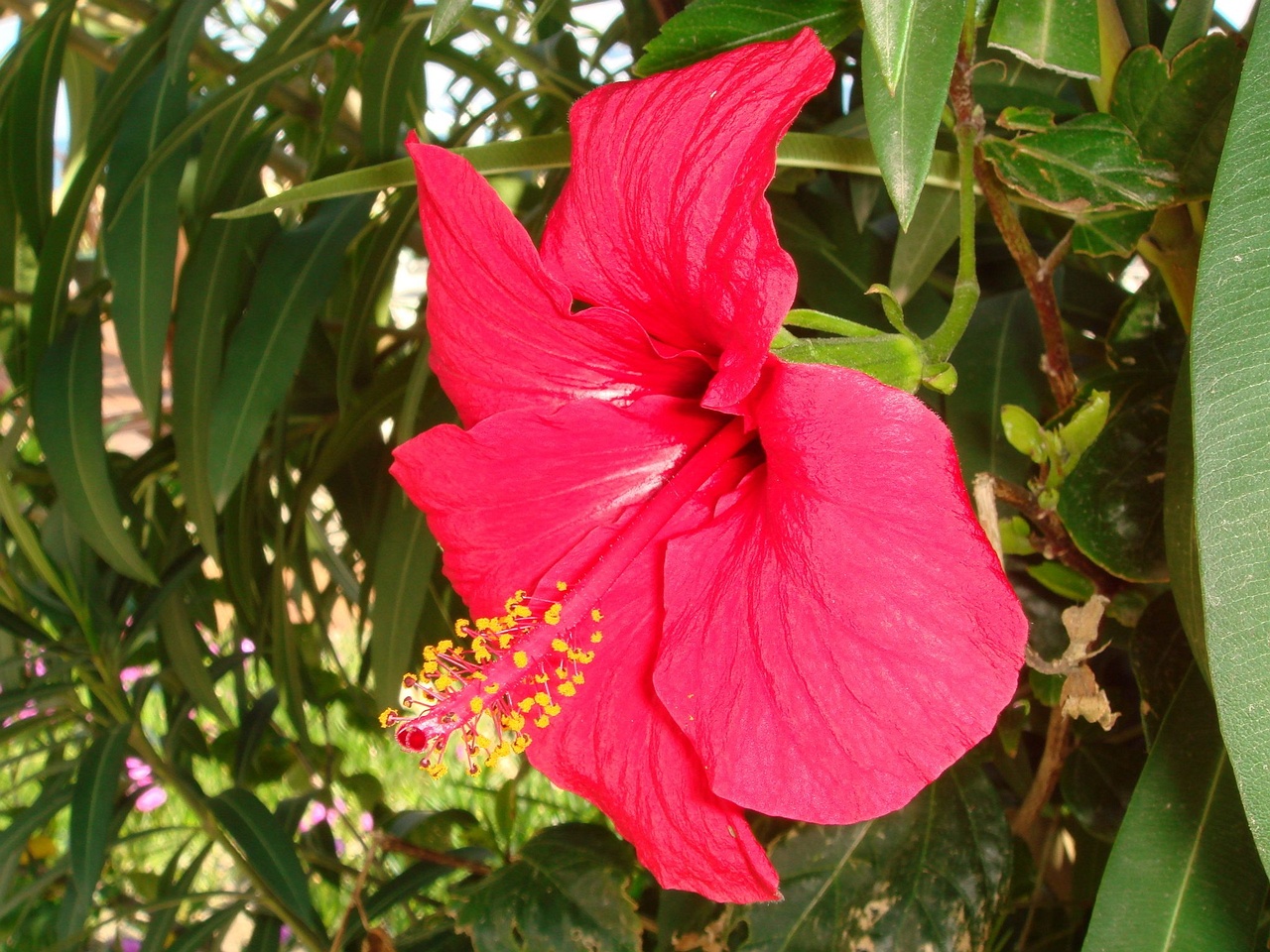 DSC01964