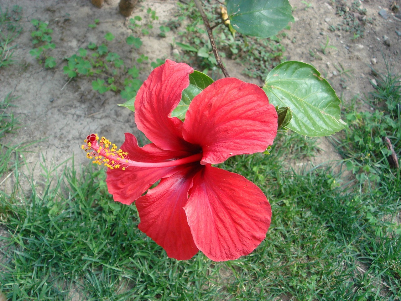 DSC02048