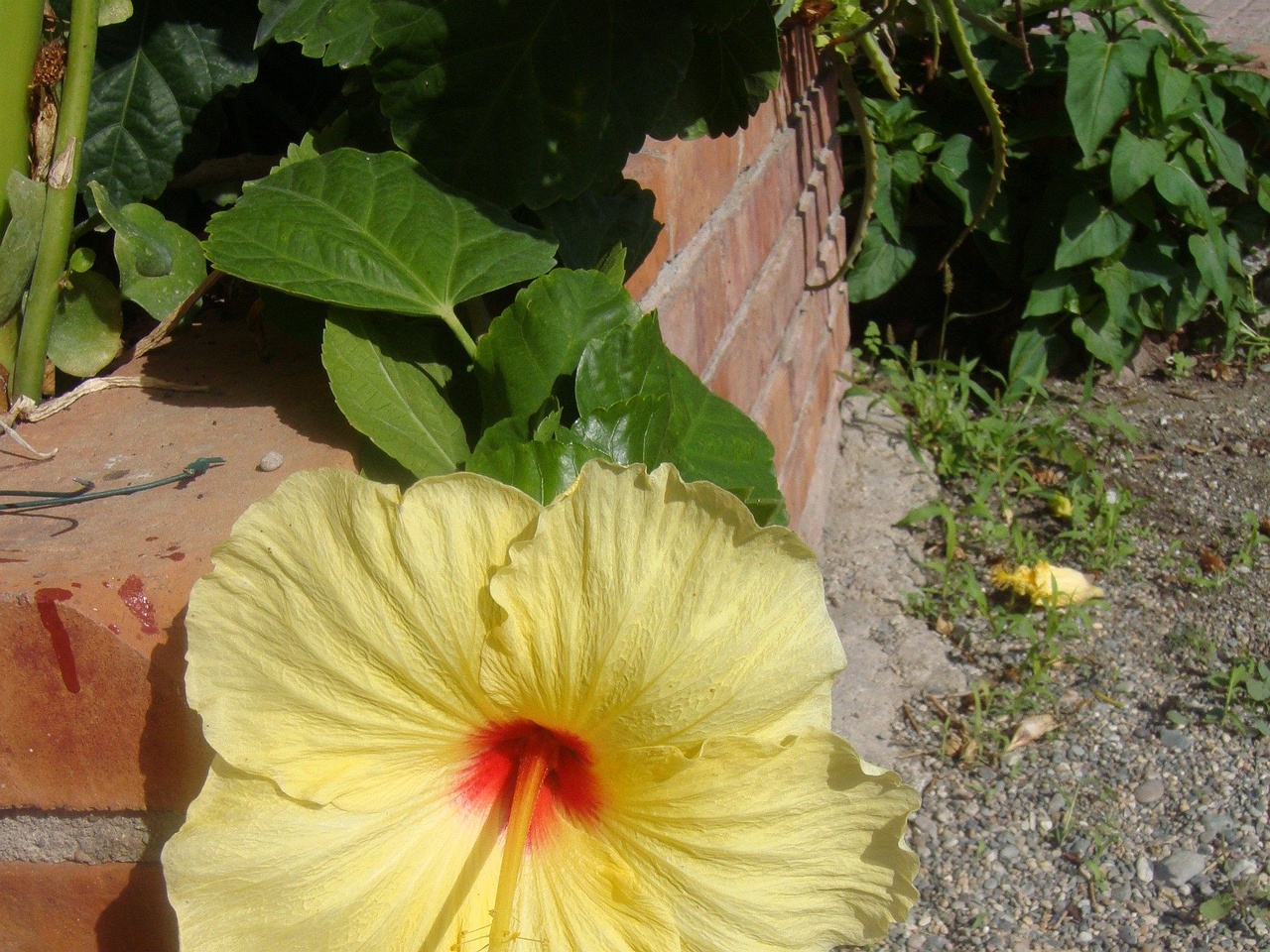 DSC02353