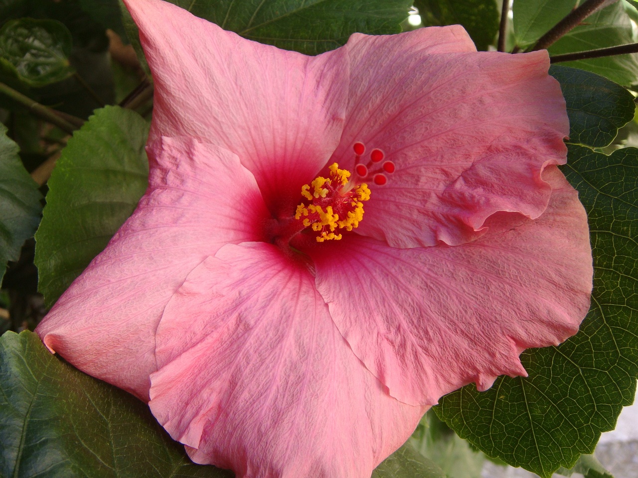 DSC02615