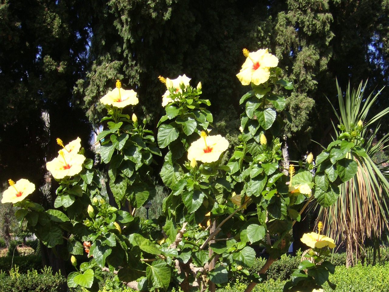 DSC02647
